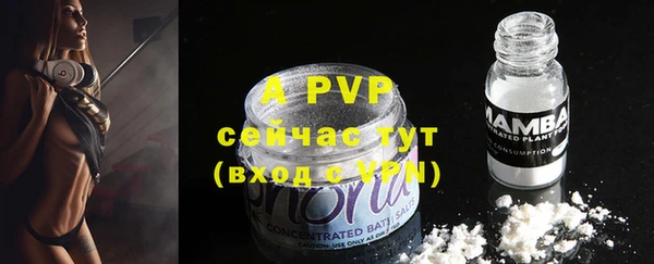 дживик Белая Холуница
