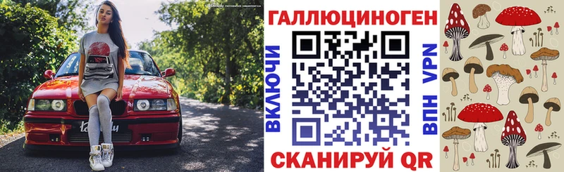 блэк спрут как зайти  сколько стоит  Богданович  Галлюциногенные грибы Psilocybe 