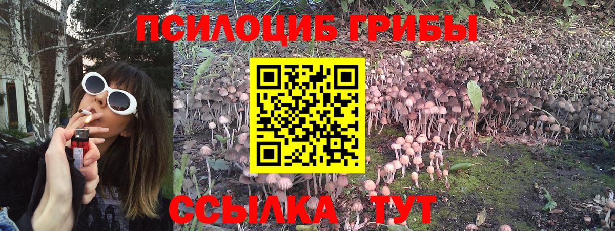 Псилоцибиновые грибы ЛСД Богданович