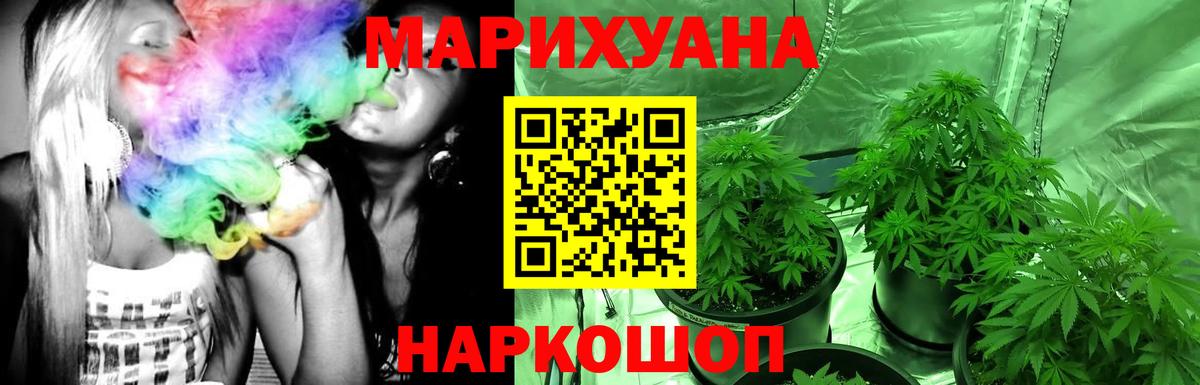 Каннабис сатива Богданович